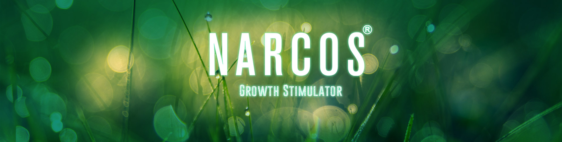 narcoszonderfles