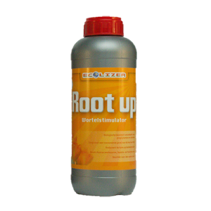 Root Up